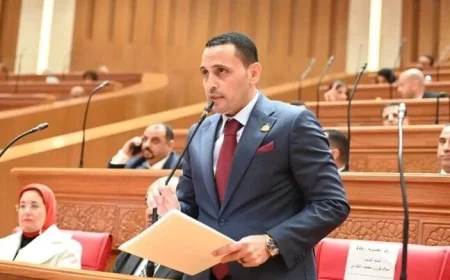 نائب المصريين بالخارج يثني على خطة الدولة لدعم الجاليات المصرية وسط التوترات الإقليمية