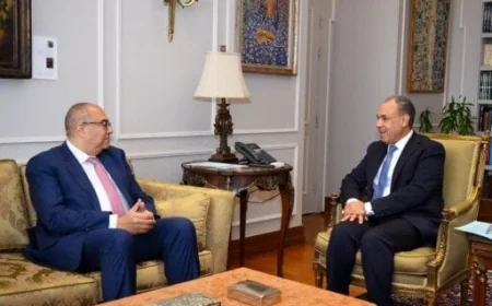 وزير الخارجية يحذر من تأثير تراجع التمويل الميسر على التنمية في الدول النامية