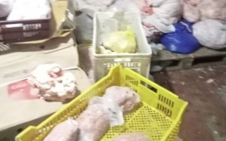 الزراعة تكشف عن ضبط 310 أطنان من اللحوم والمنتجات غير المطابقة للاشتراطات الصحية في فبراير