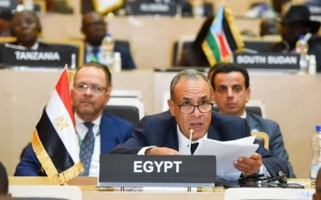 وزير الخارجية يؤكد رفض الاعتداءات على الدول العربية ويشدد على دعم سيادة وأمن واستقرار أراضيها