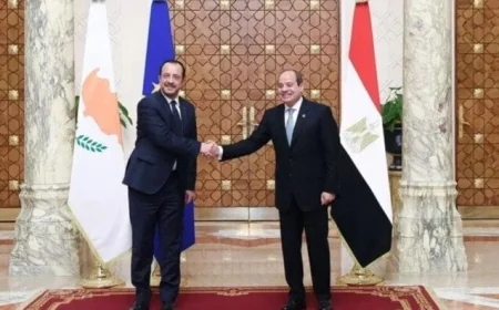 الرئيس السيسي ونظيره القبرصي يتباحثان في تعزيز التعاون بمجالات الطاقة والتجارة والاستثمار