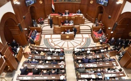 مجلس الشيوخ يناقش اليوم مشروع قانون تنظيم العمل في المستشفيات الجامعية