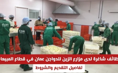 فرص عمل مميزة في مزارع الزين للدواجن بعمّان بقطاع المبيعات لعام 2026 اكتشف شروط التقديم الآن