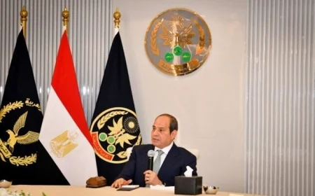 الرئيس السيسي يبرز التزام مصر الراسخ بجهود خفض التصعيد وتعزيز أمن واستقرار المنطقة