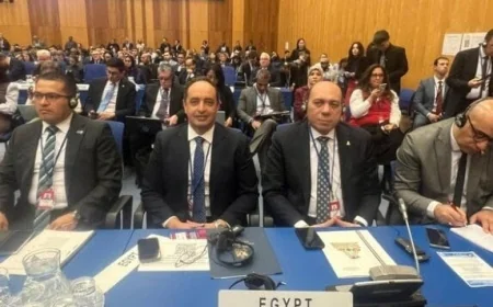 مصر تبرز دورها في الدورة 69 للاجتماعات الدولية لمكافحة المخدرات في فيينا