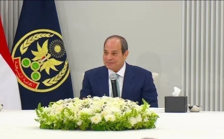 الرئيس السيسي يشدد على أهمية استقرار سوريا ورفض استهداف أراضيها