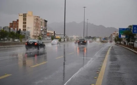 أحوال الطقس من شبورة وأمطار ورياح توقعات «الأرصاد» للأيام من الأربعاء حتى الأحد 15 مارس 2026