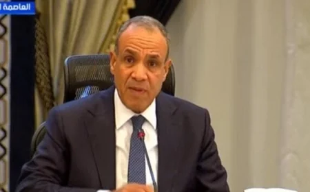 عبد العاطي يطمئن بشأن أوضاع الجاليات المصرية في الدول الشقيقة بعد الهجمات الأخيرة