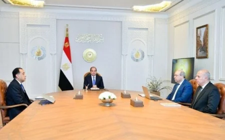 الرئيس السيسي يعرض مشروع إدارة وتشغيل المطارات المصرية للقطاع الخاص