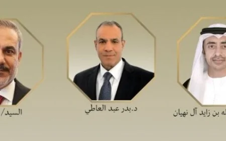 وزير الخارجية يتواصل مع نظيريه الإماراتي والتركي حول تداعيات التصعيد العسكري في المنطقة