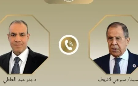 وزير الخارجية يؤكد لنظيره الروسي ضرورة التعاون لحل أزمات الصراع في المنطقة