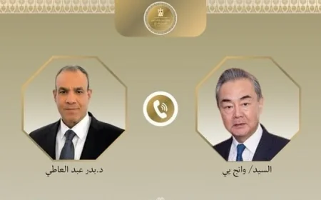 وزير خارجية مصر والصين يؤكدان ضرورة الحل الدبلوماسي لتجنب تصعيد الأوضاع في المنطقة