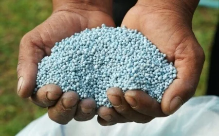 استقرار إمدادات الأسمدة المدعمة في الزراعة ولا نقص في الحصص المتاحة