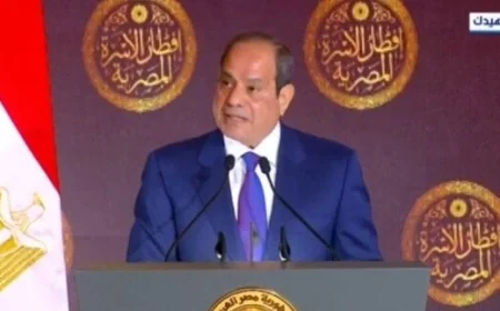 الرئيس السيسي يؤكد أن مصر تعمل بجد لإخماد نيران الحرب حسب وكالة الأنباء اللبنانية