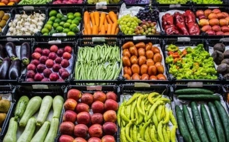 أسعار الخضروات اليوم الأحد 15 مارس 2026 تعرف على سعر البطاطس وأهم الخضروات الأخرى