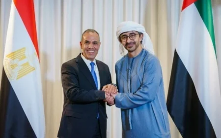 مباحثات مثمرة بين وزير الخارجية المصري ونظيره الإماراتي تعزيزاً لتضامن القاهرة مع أبوظبي