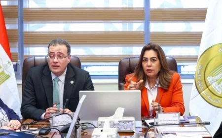 توافق وزيرة التنمية المحلية ورئيس التنظيم والإدارة على الهيكل التنظيمي الجديد للوزارة