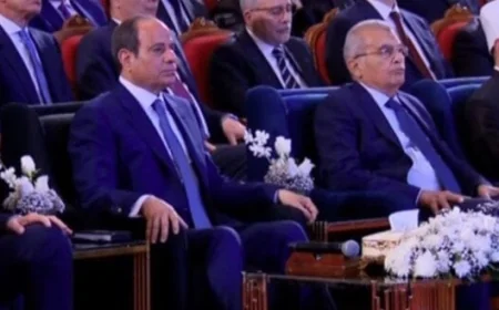 الرئيس السيسي يؤكد أن المشاريع التنموية الحالية هي مستقبل أبنائنا المزدهر