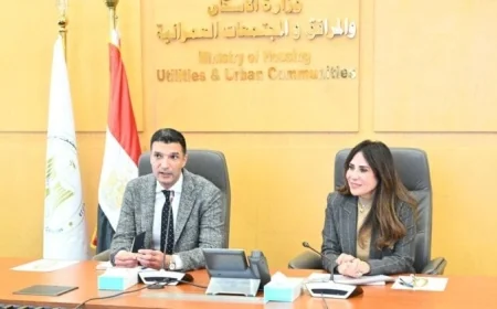 وزيرة الإسكان تكشف عن خطة متكاملة لتطوير البنية التحتية في المناطق الصناعية