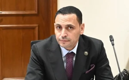 نائب يؤكد أن تحركات وزير الخارجية تعكس استراتيجية الدولة لدعم رعاياها في الخارج