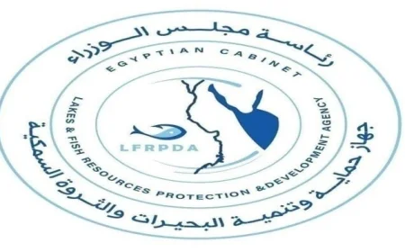 إنتاج 71 طنًا من الأسماك في مزرعتي المنزلة وبرسيق لدعم تعزيز الإنتاج الزراعي