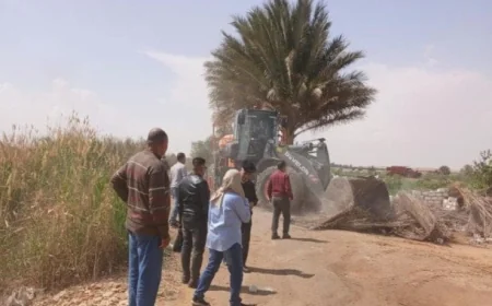 الزراعة تطلق حملات ميدانية مكثفة لحماية الأراضي الزراعية وإزالة التعديات مع بدء إجازة العيد