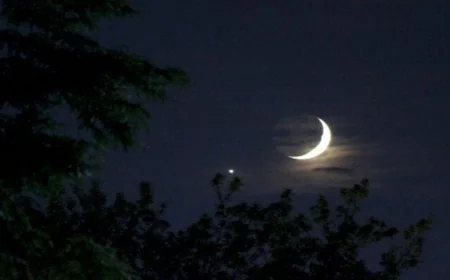 نتيجة استطلاع هلال شهر شوال 2026 عبر البث المباشر من الإفتاء