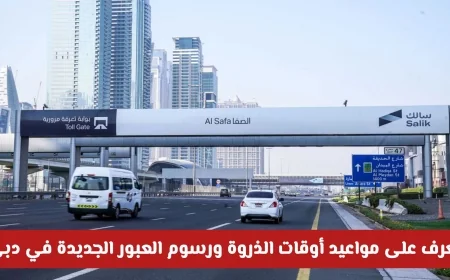 تعرف على تفاصيل نظام سالك المرن: مواعيد الذروة ورسوم العبور الجديدة في دبي