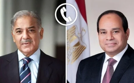 الرئيس السيسي يناقش تعزيز التعاون مع باكستان خلال اتصال هاتفي مع رئيس الوزراء الباكستاني