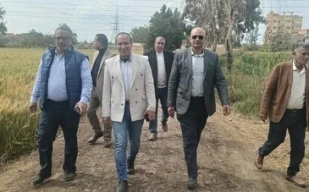 قيادات الزراعة تتابع جهود حماية الأراضي والمحاصيل في أربع محافظات لتعزيز الأمن الغذائي