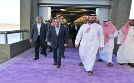 جولة الرئيس السيسي الخليجية تعزز التضامن العربي في وقت حاسم حسب تأكيد برلمانية