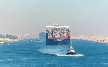 وزير الخارجية يحذر من تراجع عائدات السياحة وقناة السويس ويشدد على ضرورة دعم الاقتصاد لمواجهة التداعيات