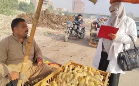 الزراعة تكشف عن فحص 555 ألف طائر و180 ألف رأس ماشية في فبراير 2023