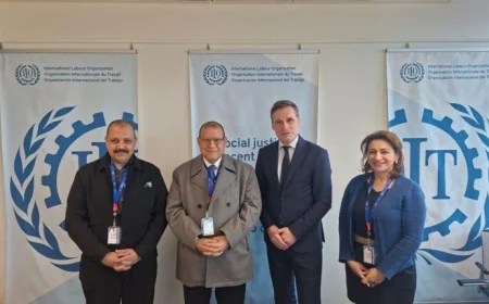 المنظمة الدولية للعمل تبرز دور مصر في تعزيز العدالة الاجتماعية وتحديث الحد الأدنى للأجور والتشريعات العمالية