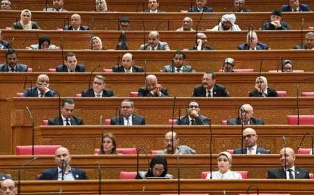 برلمانية المؤتمر تؤكد أن بيان مجلسي النواب والشيوخ يعكس قوة الموقف المصري في مواجهة التحديات الإقليمية