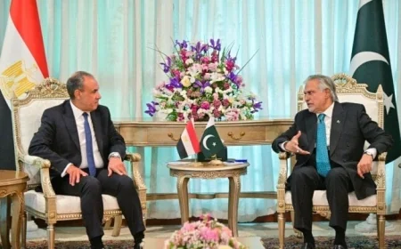 وزير الخارجية يشيد بالعلاقات التاريخية القوية بين مصر وباكستان