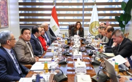 منال عوض تتابع تنفيذ الملفات البيئية والتنموية في المحافظات لتحسين جودة الحياة