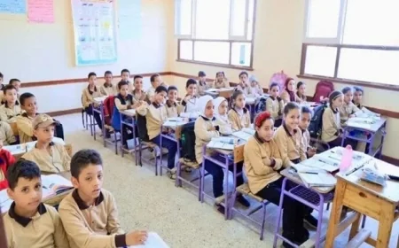تعليم القاهرة يقرر تأجيل امتحانات الأحد للمرحلتين الابتدائية والإعدادية والثانوية