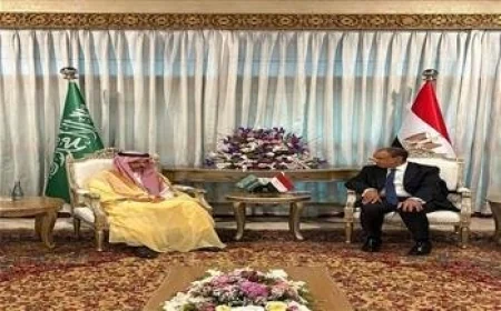 وزير الخارجية يعقد محادثات مع نظيره السعودي لتعزيز جهود التهدئة الإقليمية والدبلوماسية