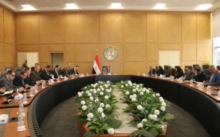 وزير الكهرباء يناقش مع اللجنة الاستراتيجية خطوات ترشيد استهلاك الطاقة