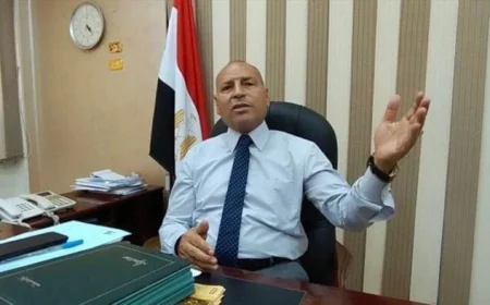 محافظ القاهرة يؤكد لا مزيد من انقطاع الكهرباء في القاهرة وإلغاء ترشيد الكهرباء قريبًا