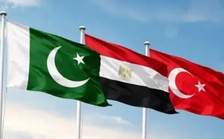 مصر تتصدر الوساطة الثلاثية لدعم الاستقرار في الخليج بتعاون دبلوماسي مع تركيا وباكستان