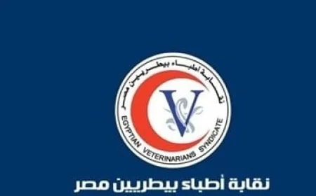 نقابة البيطريين تؤكد استثناء العيادات البيطرية من قرار الإغلاق لضمان صحة الحيوانات
