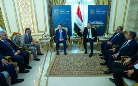 وزير البترول يناقش مع يونايتد إنرجي استبدال السولار بالطاقة الشمسية في التشغيل