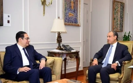 وزير الخارجية يلتقي برئيس جامعة القاهرة لمناقشة استعدادات احتفالية يوم إفريقيا