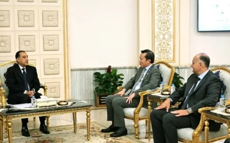 رئيس الوزراء يجتمع مع نائب الرئيس التنفيذي للغاز والطاقة منخفضة الكربون في شركة بي بي البريطانية