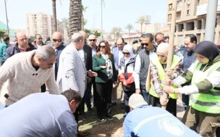 منال عوض تؤكد اهتمام الوزارة بتوسيع المساحات الخضراء في جميع المحافظات