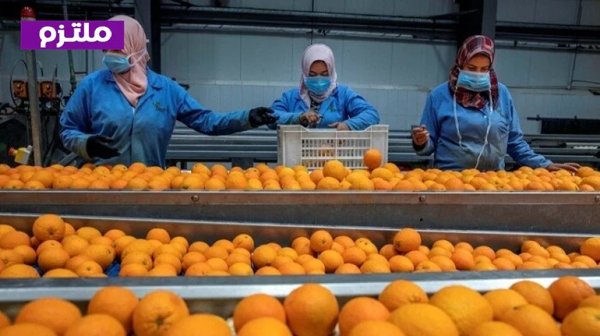 وزير الزراعة يعلن تفاصيل فتح السوق البنمي ليدعم 4 منتجات زراعية مصرية