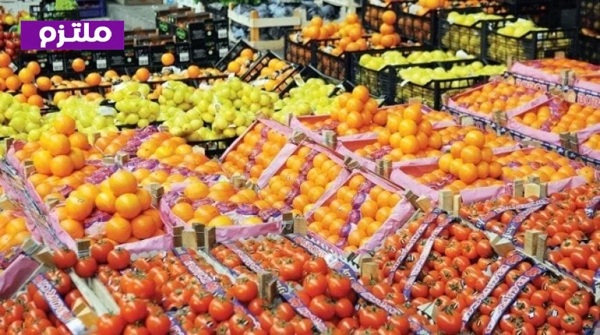 استراتيجية جديدة لزيادة وصول الصادرات الزراعية المصرية إلى الأسواق العربية والخليجية