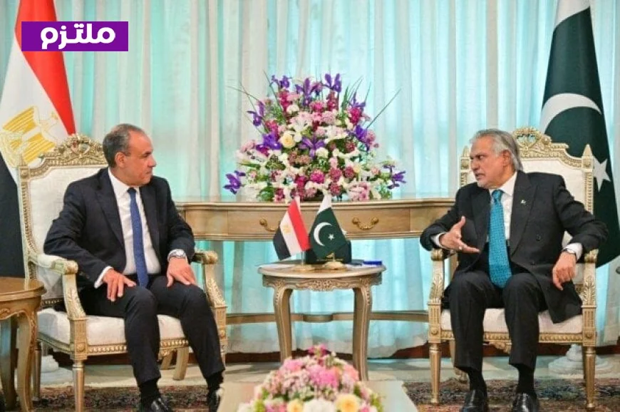وزير الخارجية يشيد بالعلاقات التاريخية القوية بين مصر وباكستان